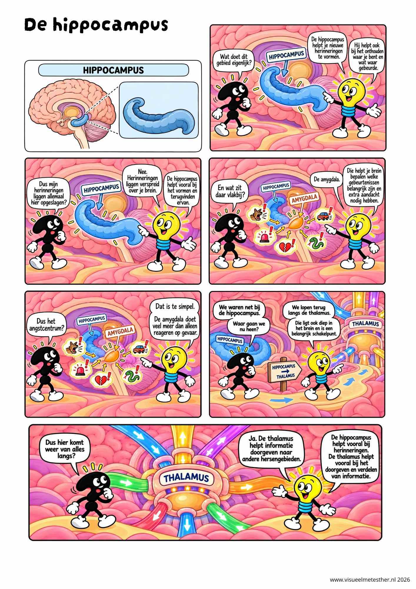 Strip Missie Brein een educatieve strip over de hersenen