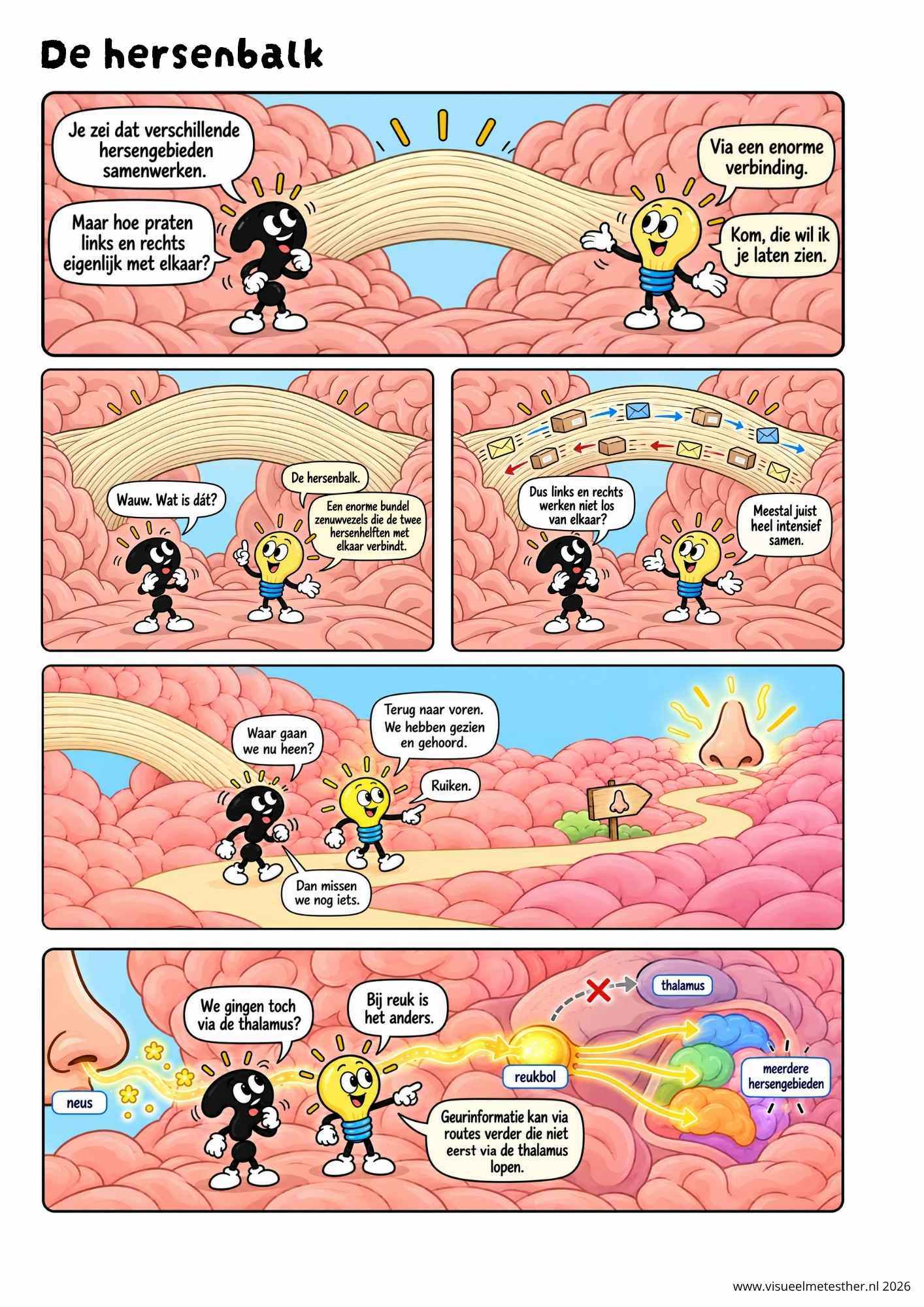 Strip Missie Brein een educatieve strip over de hersenen