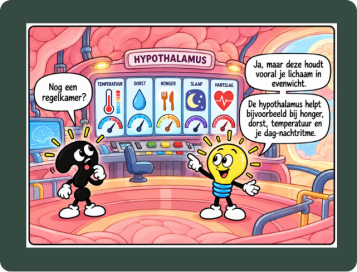 visuele schors