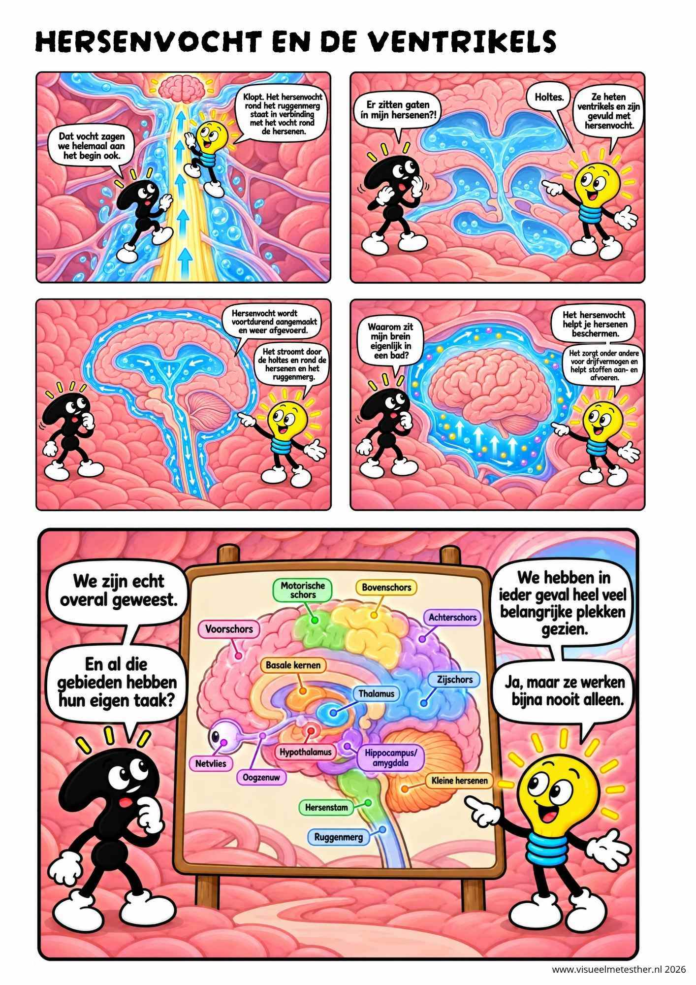 Strip Missie Brein een educatieve strip over de hersenen