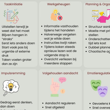 kennisplaat van executieve functies zoals planning en impulscontrole