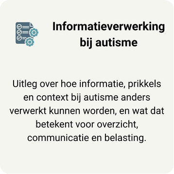 Tegel naar de pagina informatieverwerking bij autisme