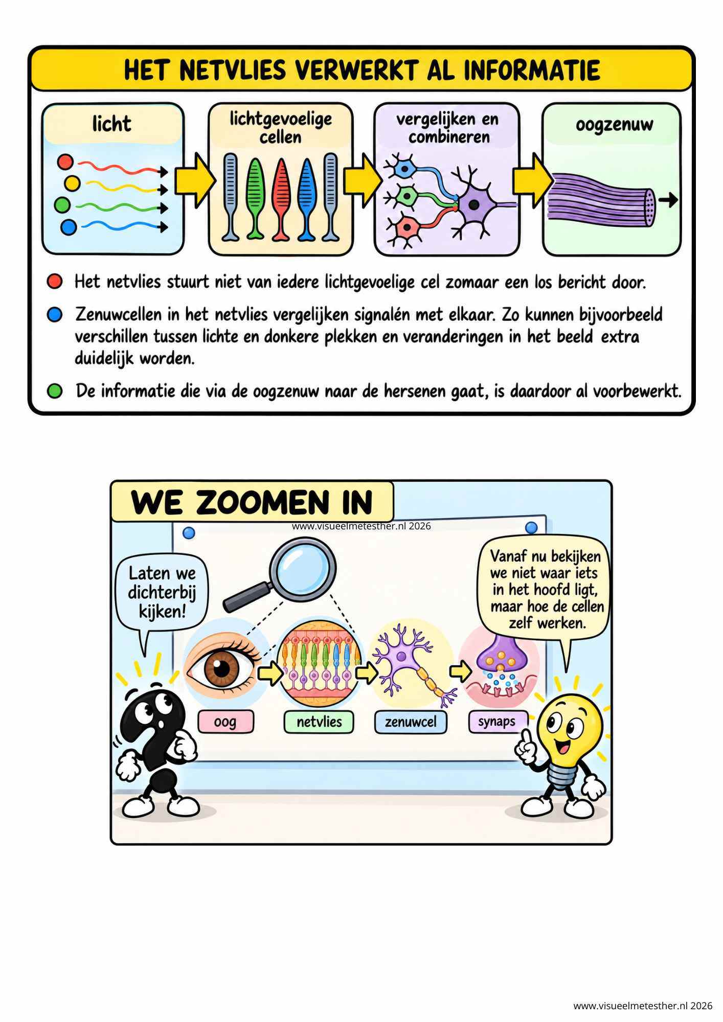 Strip Missie Brein een educatieve strip over de hersenen