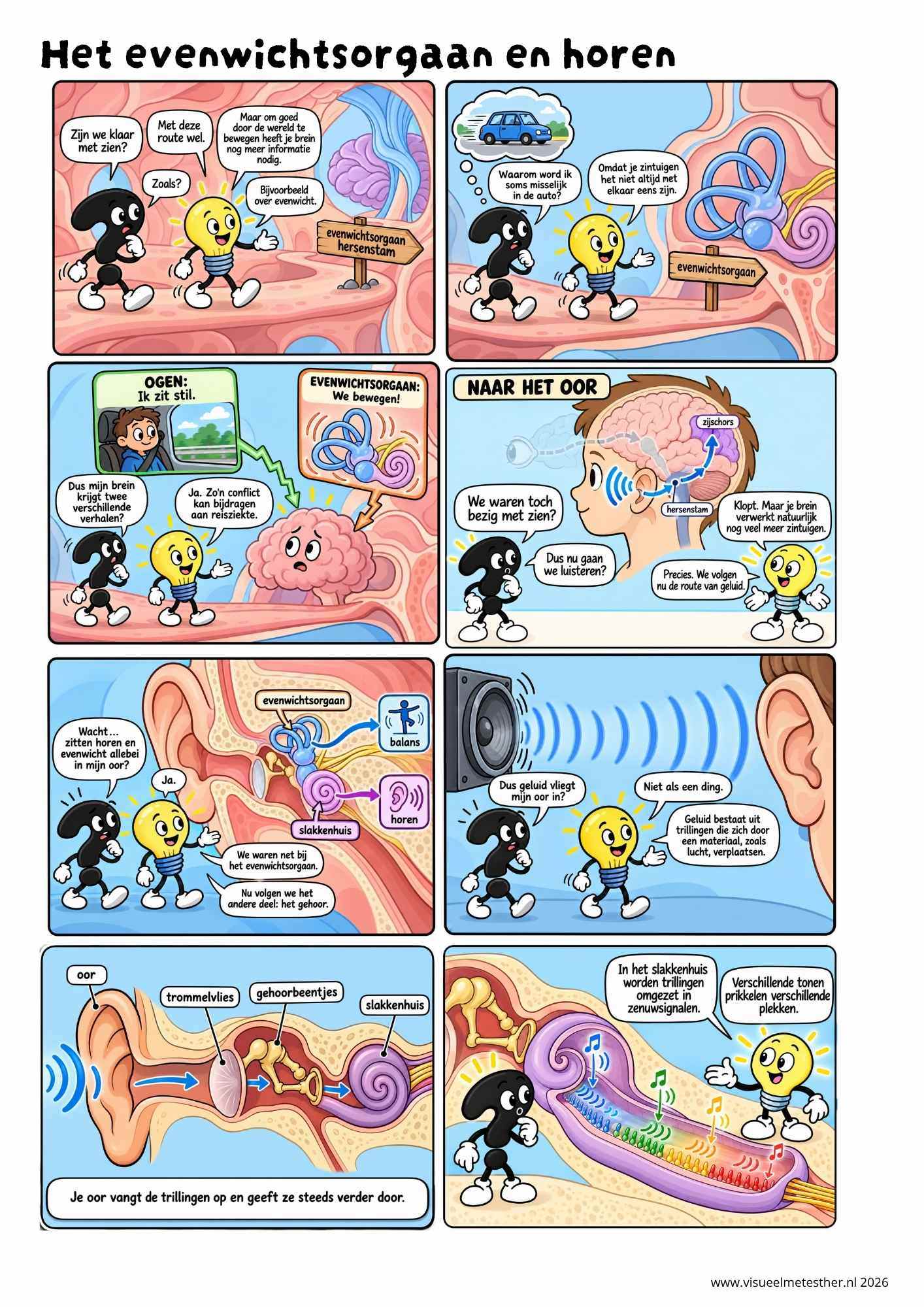 Strip Missie Brein een educatieve strip over de hersenen