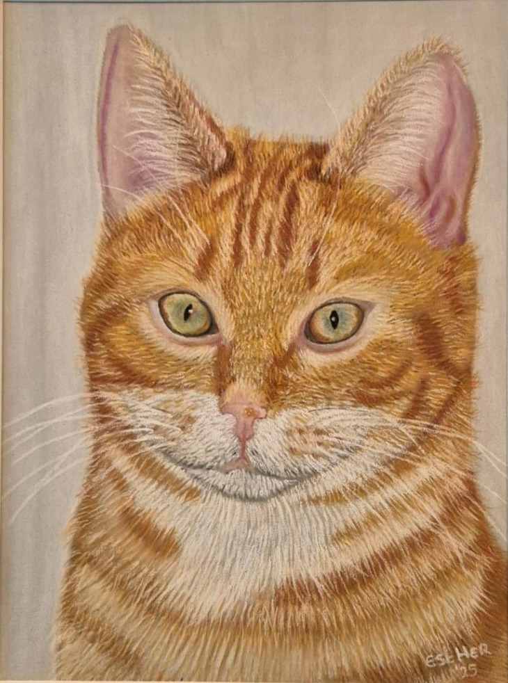 Pasteltekening van poes Cira