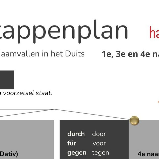 Kennisplaat Naamvallen – stappenplan 1e, 3e en 4e naamval