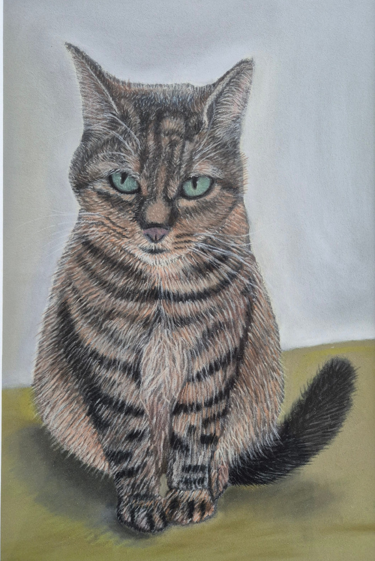 pastelteening poes Mitnhe stand