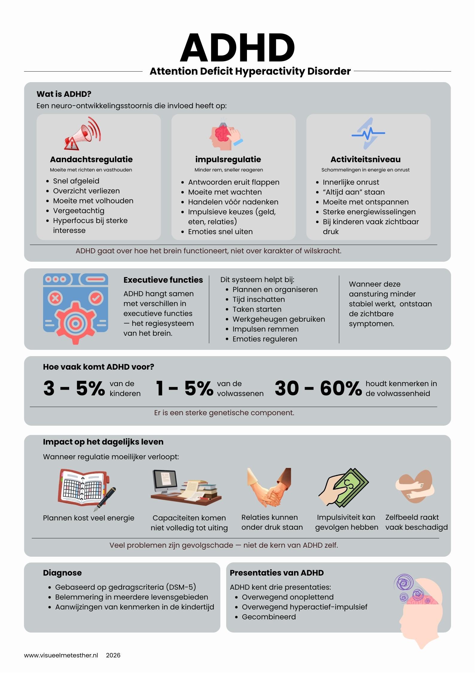 Kennisplaat ADHD met kernkenmerken, executieve functies en impact.