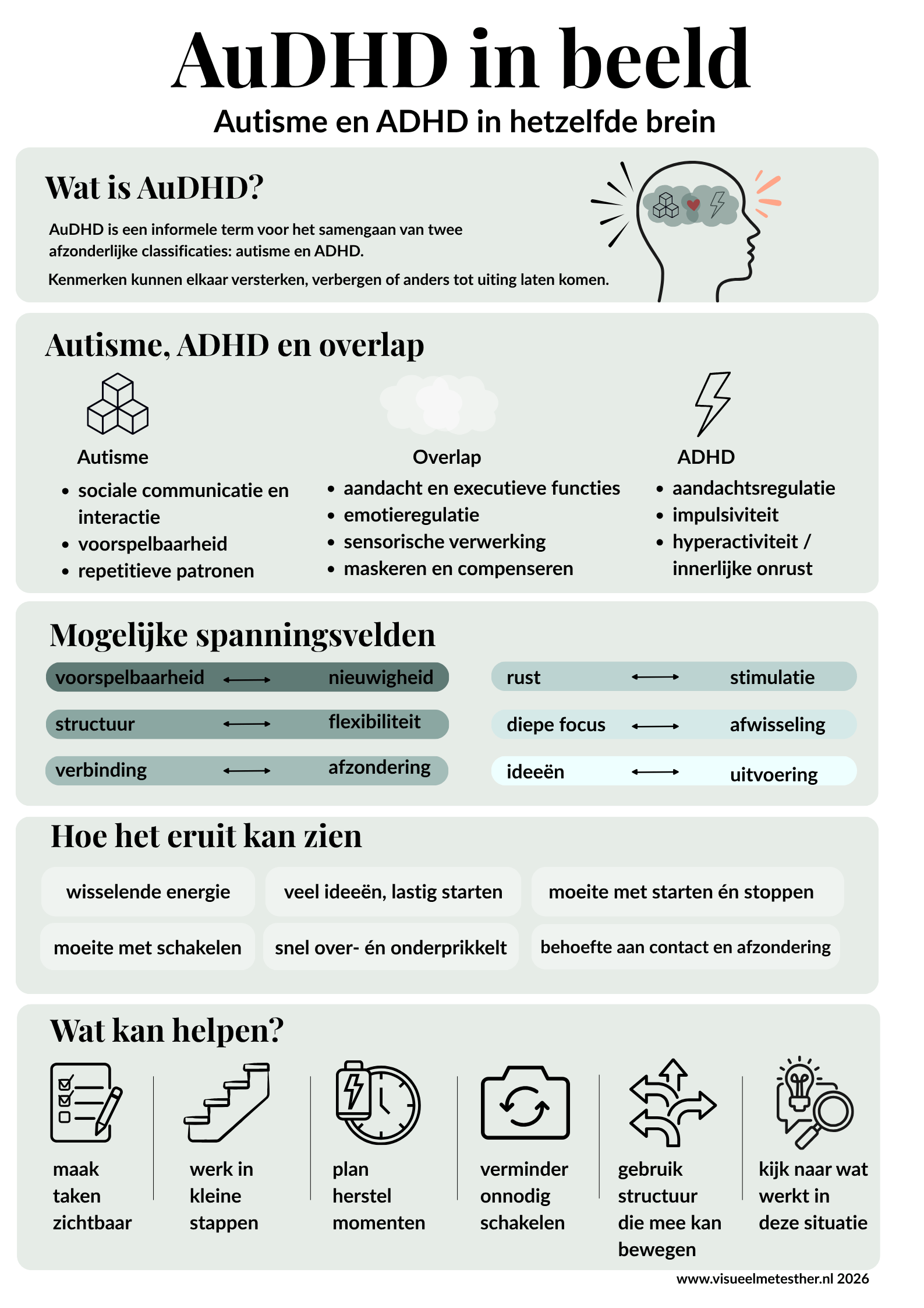 Kennisplaat AuDHD in beeld met uitleg over autisme en ADHD, overlap, mogelijke spanningsvelden, herkenbare kenmerken en wat kan helpen.