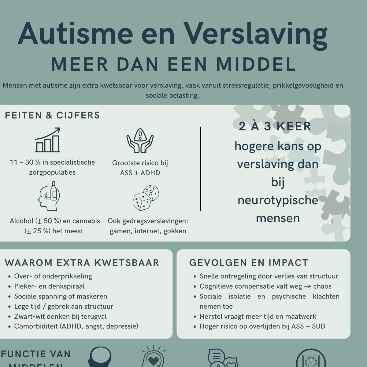 Autisme en verslaving de samenhang