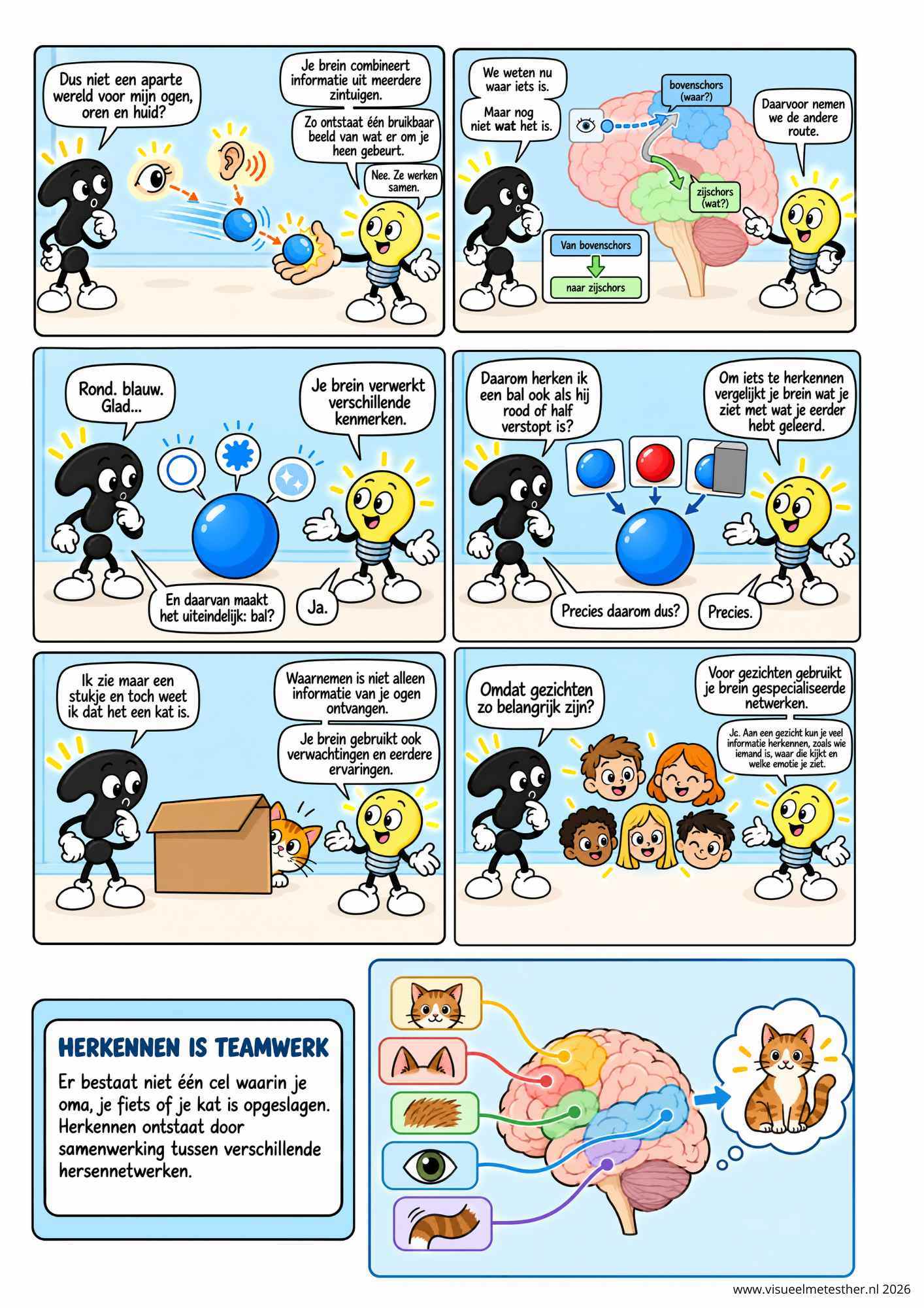 Strip Missie Brein een educatieve strip over de hersenen