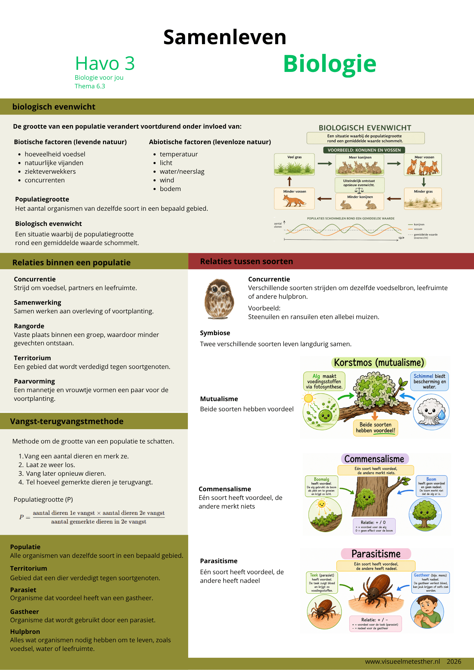 Kennisplaat biologie HAVO 3 over samenleven in ecosystemen. Uitleg van biologisch evenwicht, populatiegrootte, biotische en abiotische factoren, concurrentie, samenwerking, rangorde, territorium, symbiose, mutualisme, commensalisme, parasitisme en de vangst-terugvangstmethode.