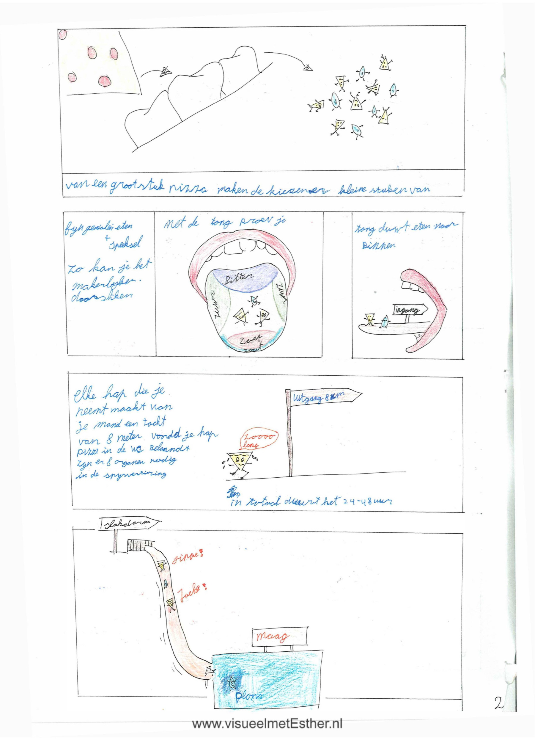 STRIP pagina 2 van mond tot kont - Spijsvertering