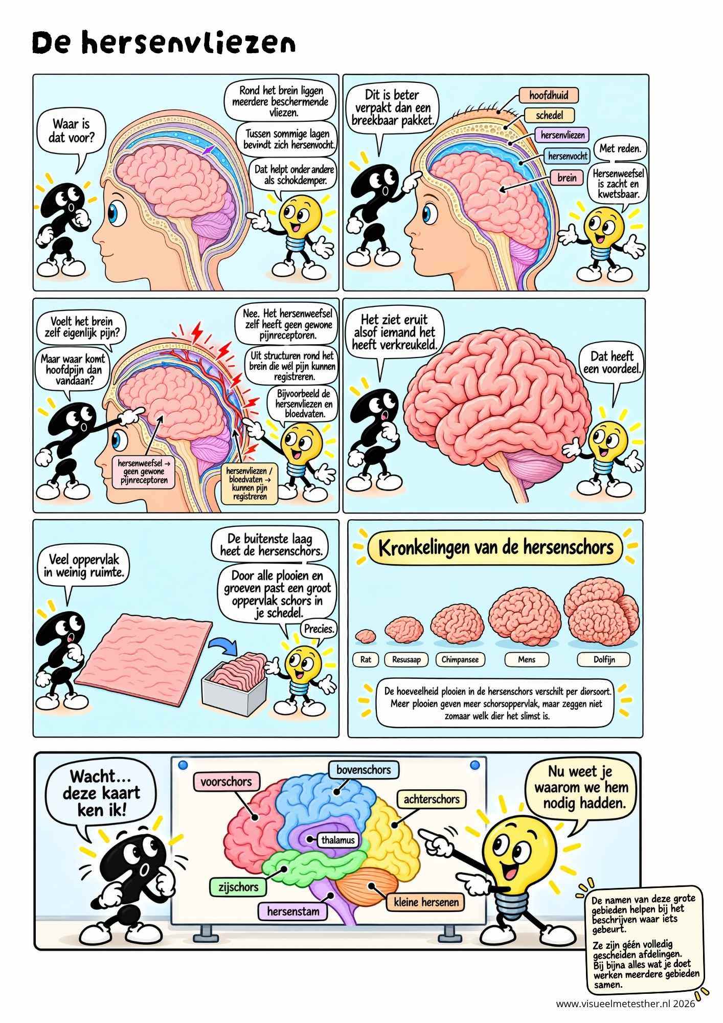 Strip Missie Brein een educatieve strip over de hersenen