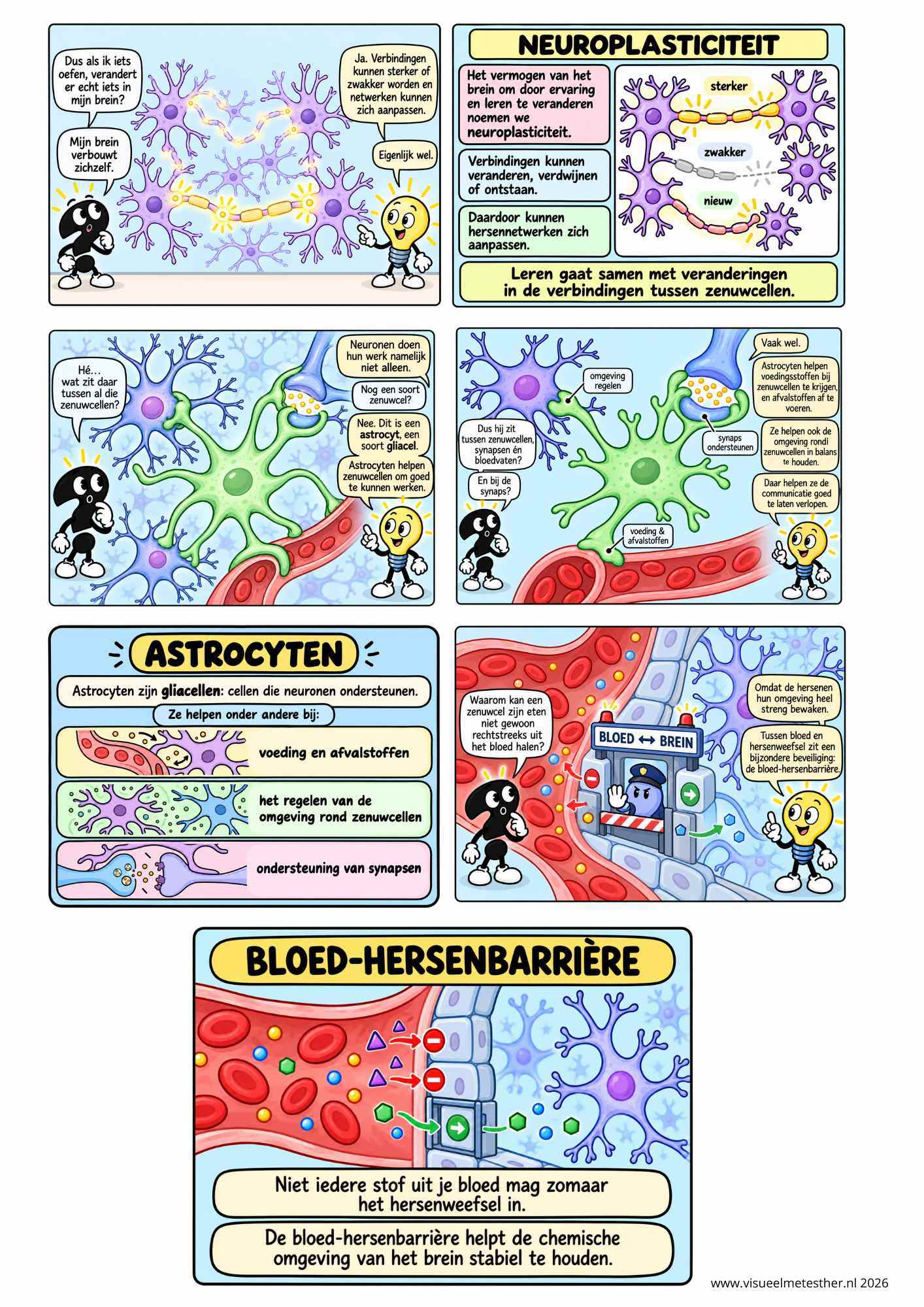 Strip Missie Brein een educatieve strip over de hersenen