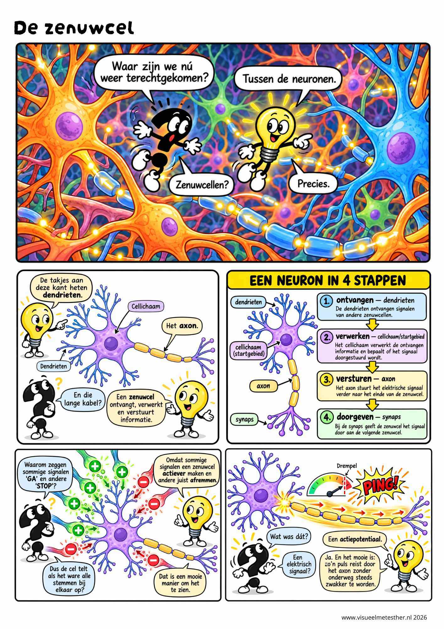 Strip Missie Brein een educatieve strip over de hersenen