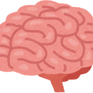 Illustratie van een brein als symbool voor kennisplaten mens en natuur – basisschool