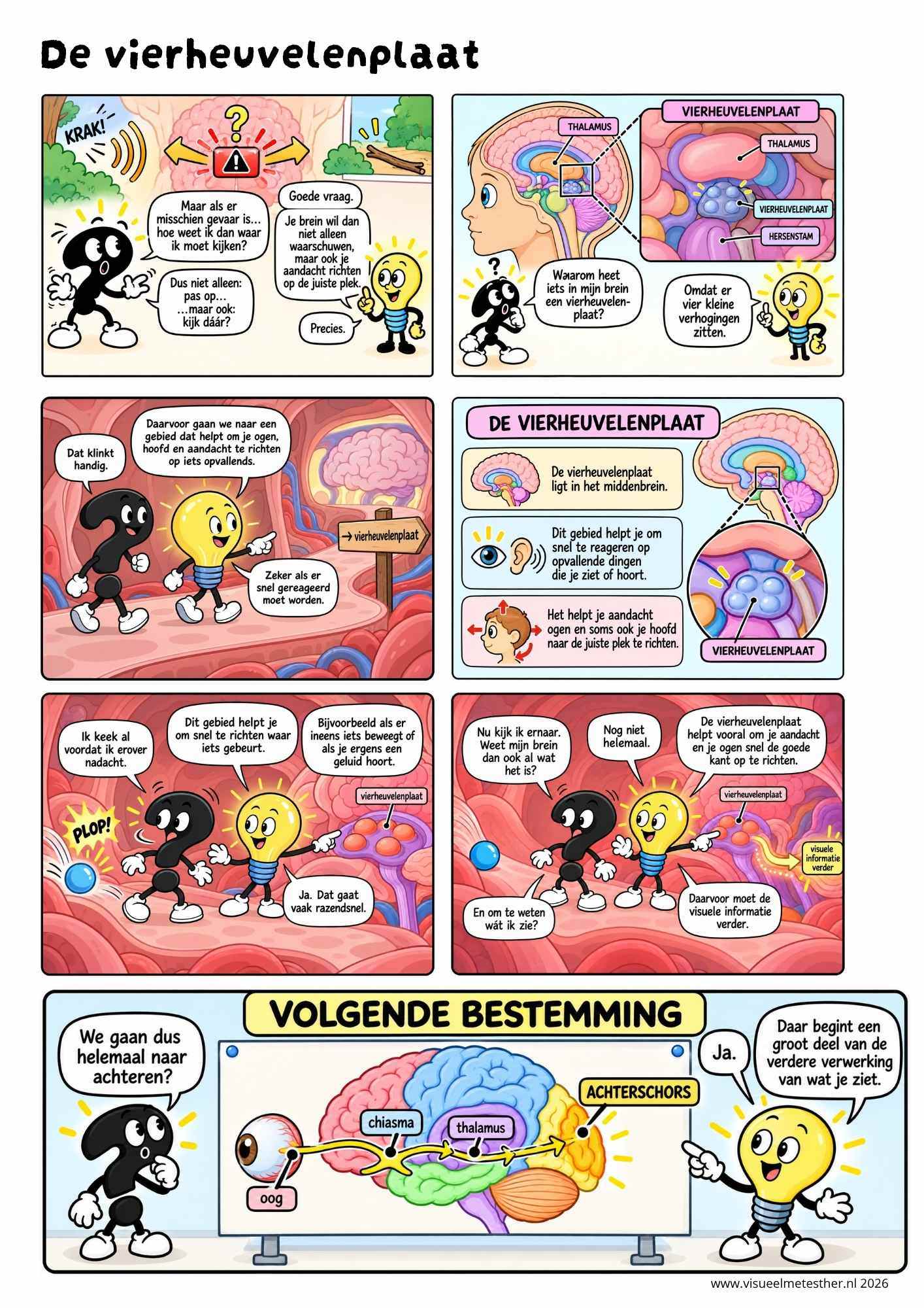 Strip Missie Brein een educatieve strip over de hersenen