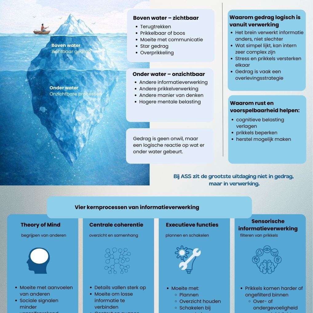 Link naar informatie verwerking bij autisme