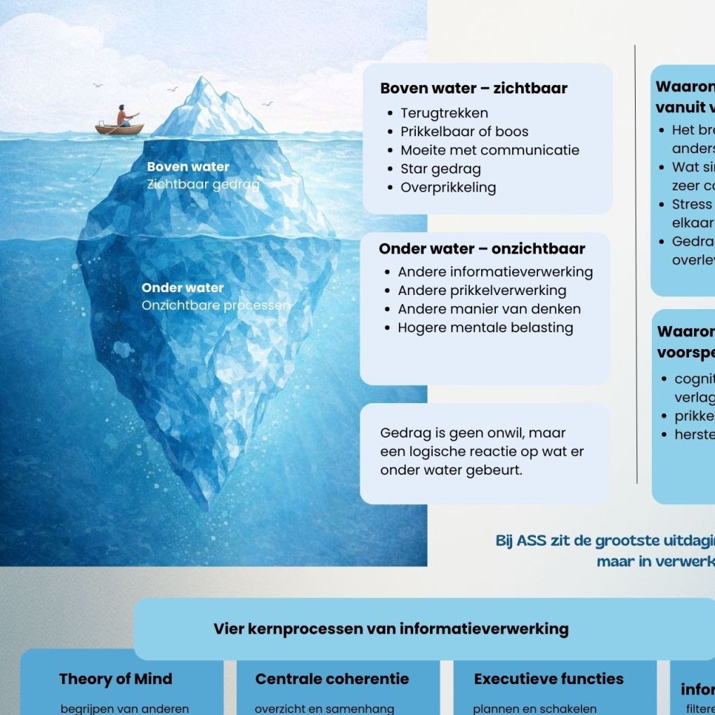 Link naar informatie verwerking bij autisme