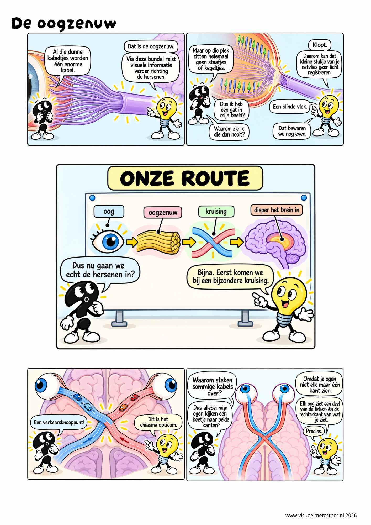 Strip Missie Brein een educatieve strip over de hersenen