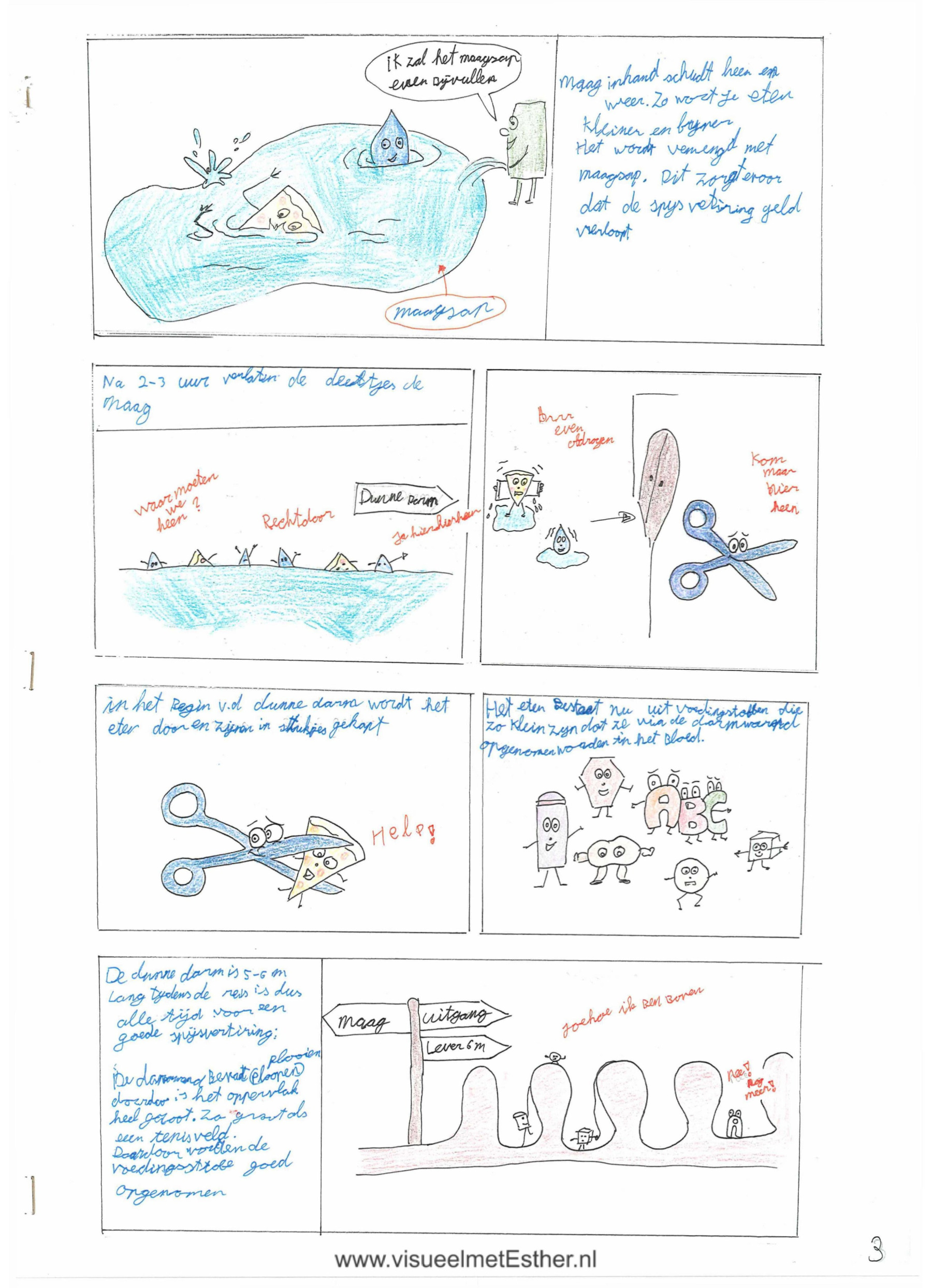 STRIP pagina 3 van mond tot kont - Spijsvertering
