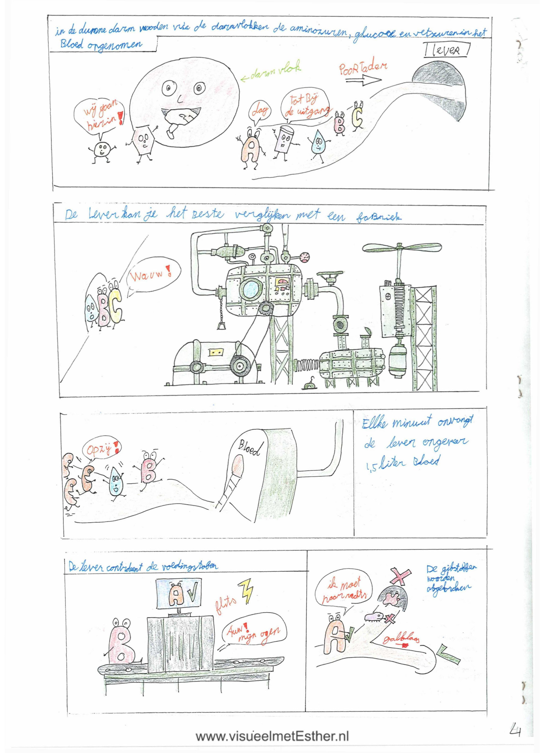 STRIP pagina 4 van mond tot kont - Spijsvertering