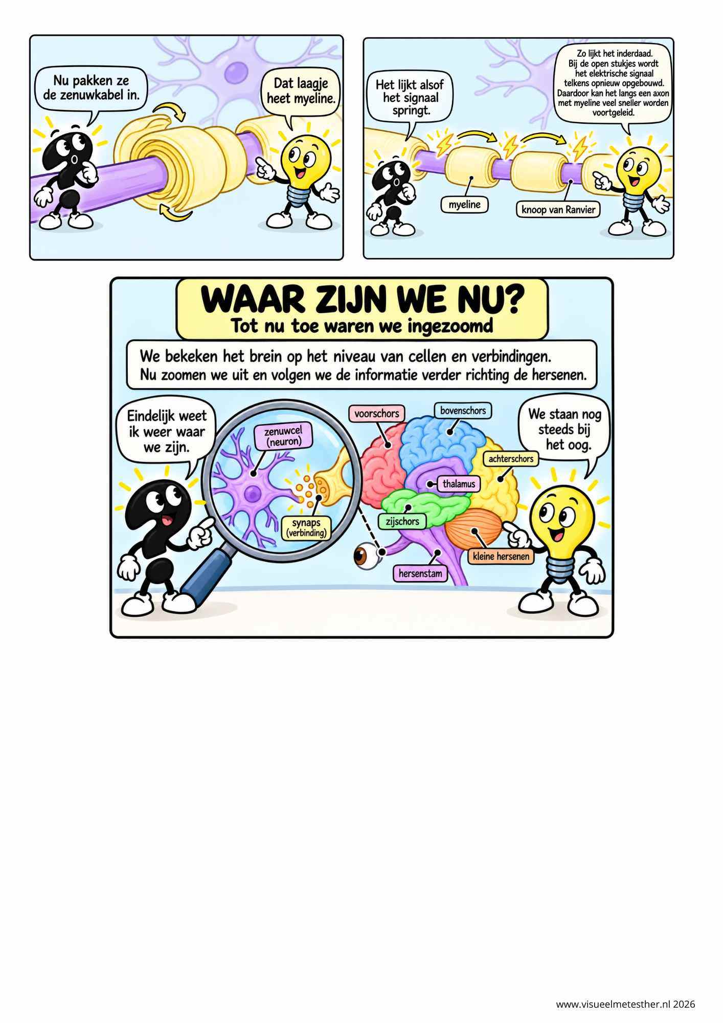 Strip Missie Brein een educatieve strip over de hersenen