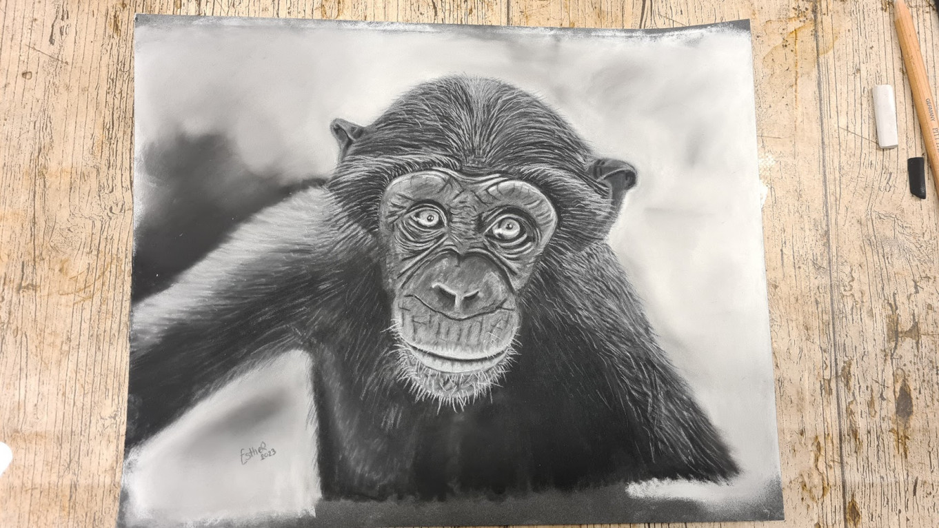 Pasteltekening van chimpansee, aap, flavour