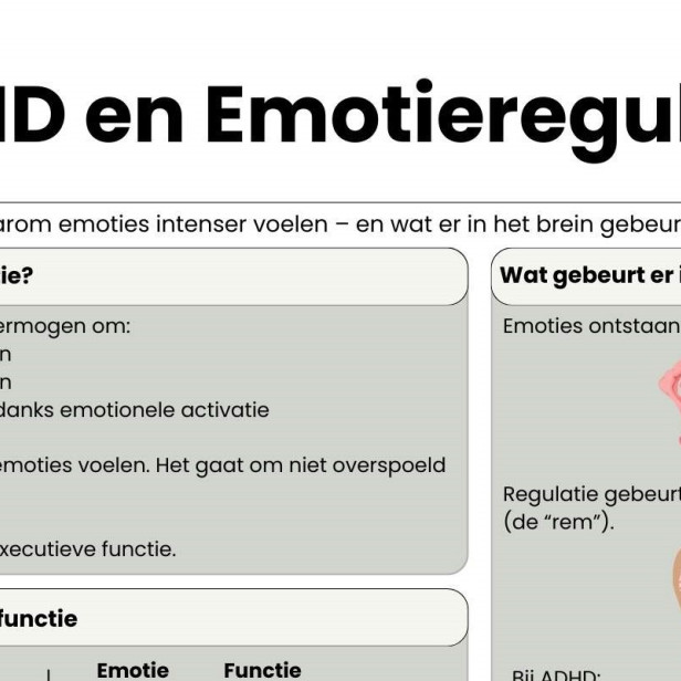 ga nar adhd en emotieregulatie