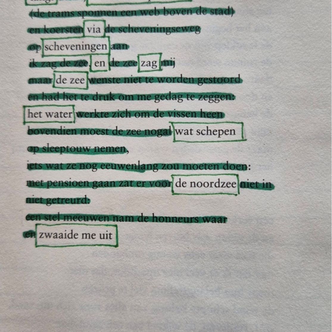 link naar Zwaaiend bij de noordzee