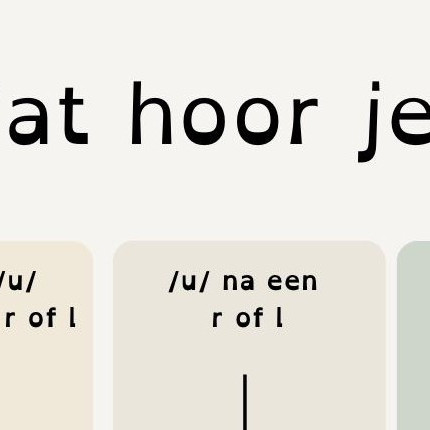 Stroomschema spellingstrategieën bij dyslexie met overzicht van kortste vorm, langer maken, plak-t, tekendief, dubbelzetter, fopletter en vriendjesregel.