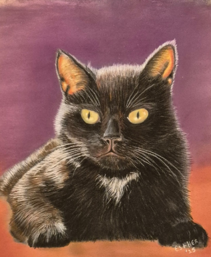 Pasteltekening van poes Novi