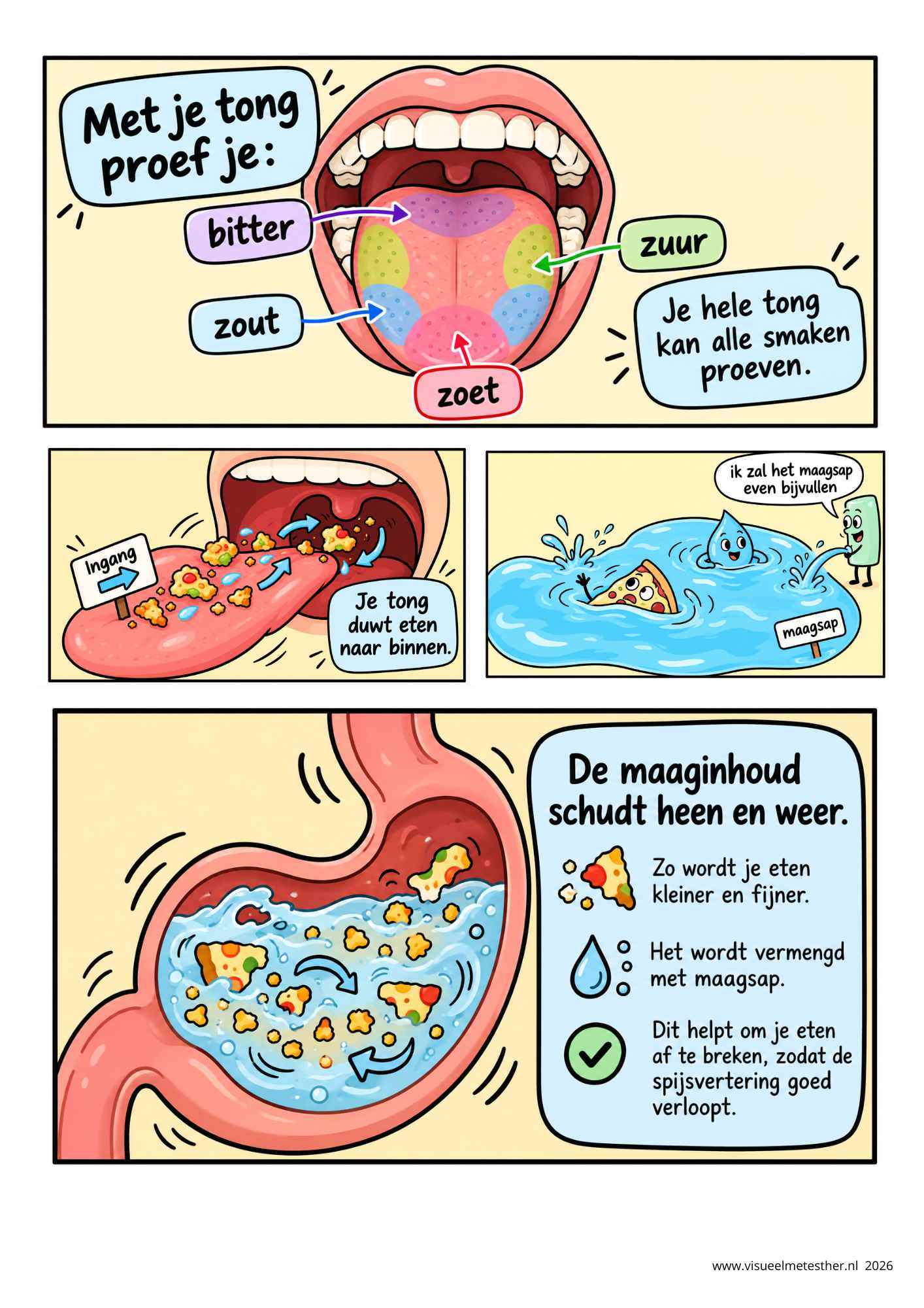 STRIP pagina 3 van mond tot kont - Spijsvertering