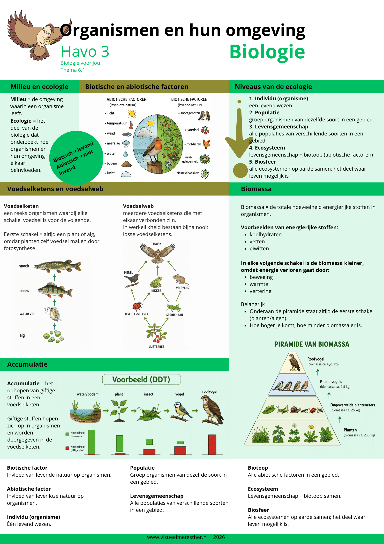 Kennisplaat biologie HAVO 3 over organismen en hun omgeving met uitleg over milieu, ecologie, biotische en abiotische factoren, niveaus van de ecologie, voedselketens, voedselwebben, biomassa en accumulatie.