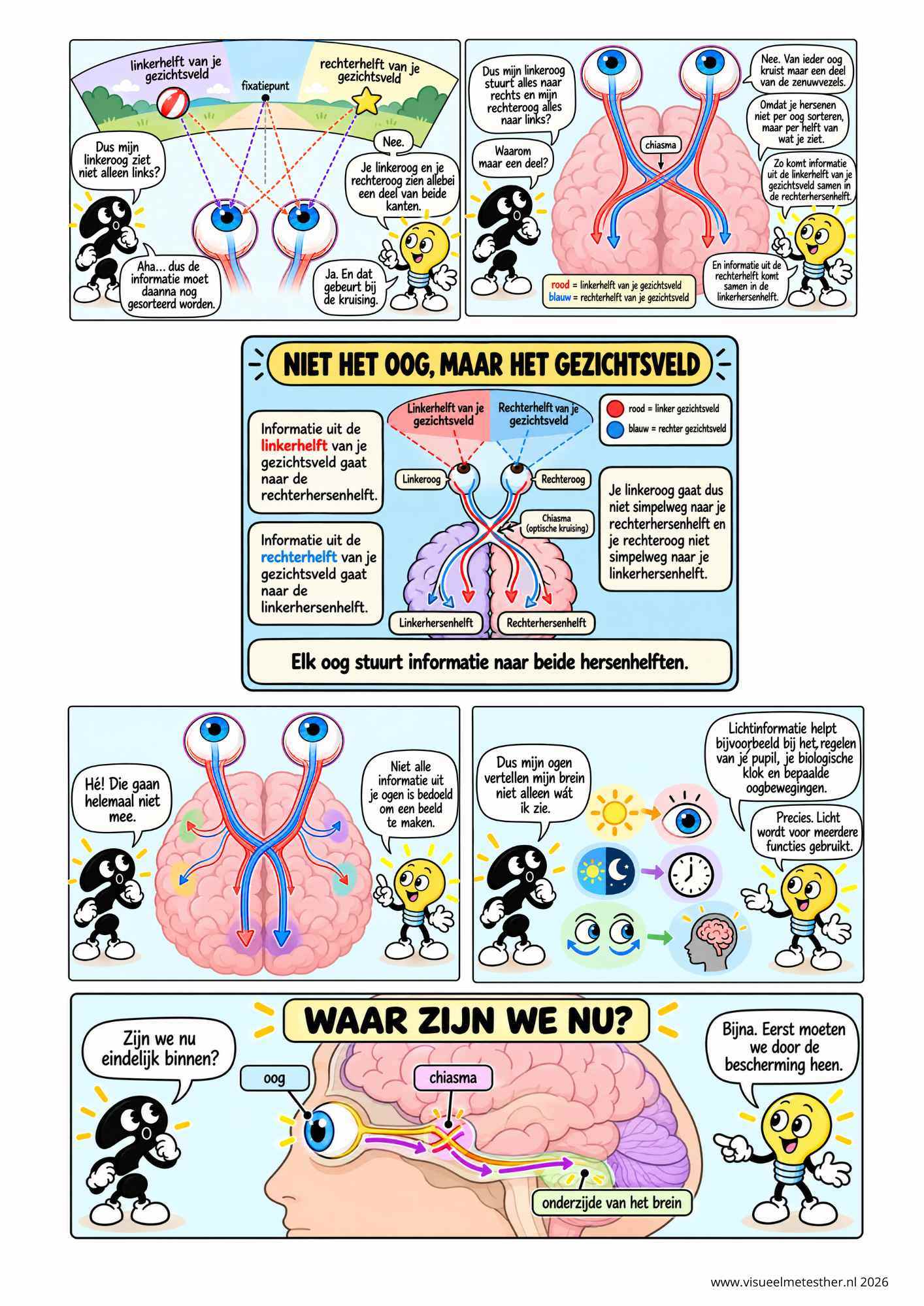 Strip Missie Brein een educatieve strip over de hersenen