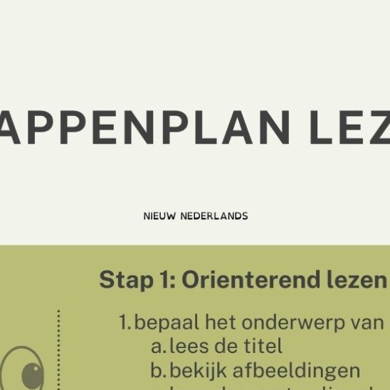 bekijk de kennisplaat sappenplan lezen